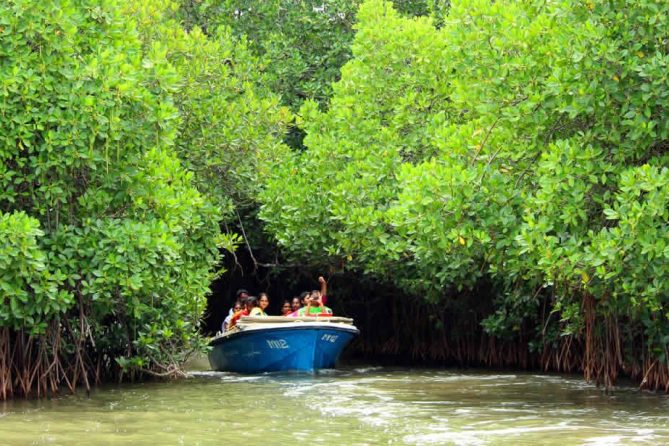 Pichavaram-Mangrove-Forest-Timings_1