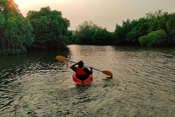 Title-Mandrove-Backwaters-Kayaking-Tamilnadu